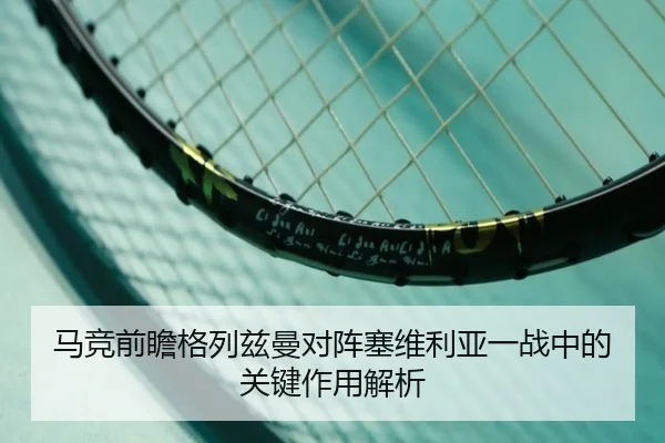 ma-jing-qian-zhan-ge-lie-zi-man-dui-zhen-sai-wei-li-ya-yi-zhan-zhong-de-guan-jian-zuo-yong-jie-xi-2-726.jpg